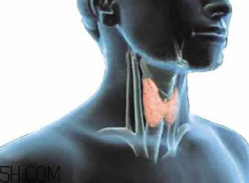 甲狀腺腫大和甲亢的區(qū)別有哪些？甲狀腺腫大適合吃什么食物？