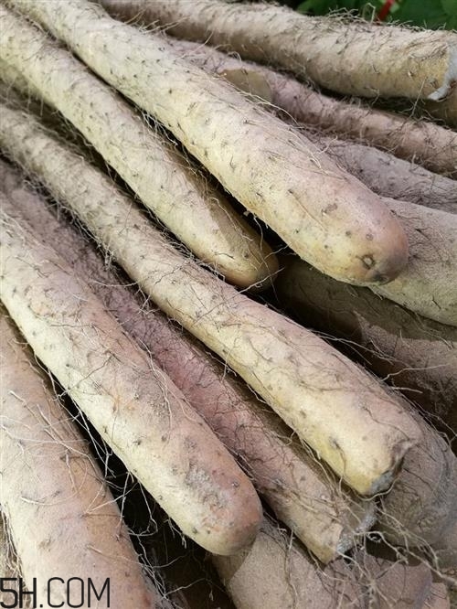 山藥牛油果能一起吃嗎？牛油果和山藥一起吃有什么好處？