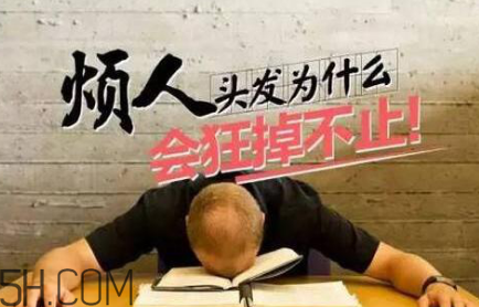 掉發(fā)年輕化怎么治？含硅洗發(fā)水是元兇？