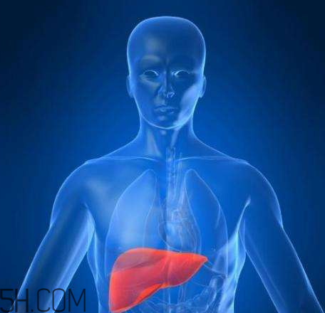 牙齦出血是肝臟出了問題？牙齦出血跟肝臟病變是否劃等號？