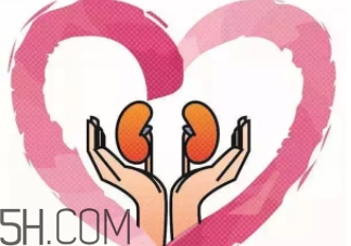 腎不好會早衰越長越矮？護腎千金方早用早好