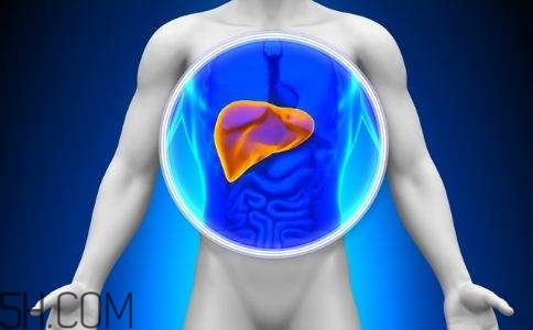 肝癌的高發(fā)人群有哪些？日常怎么預(yù)防肝癌？