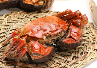 冬天可以吃大閘蟹嗎？冬天怎么吃大閘蟹？