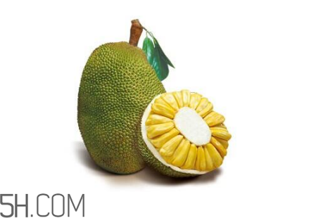 為什么吃菠蘿蜜拉肚子？吃菠蘿蜜拉肚子怎么辦？