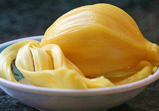 為什么吃菠蘿蜜拉肚子？吃菠蘿蜜拉肚子怎么辦？