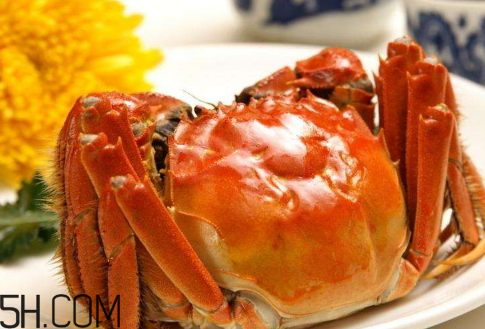 冬天可以吃大閘蟹嗎？冬天怎么吃大閘蟹？