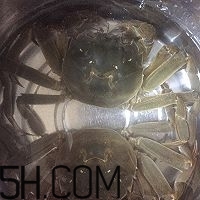 冬天可以吃大閘蟹嗎？冬天怎么吃大閘蟹？