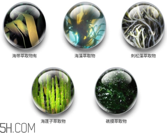 jmsolution珍珠面膜怎么用？jm珍珠珍珠面膜分為三部曲