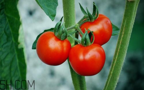 有效祛除痘印的方法？吃什么能夠去除痘痘呢？