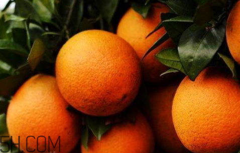 冰糖橙可以治咳嗽嗎？鹽蒸橙子快速治咳嗽