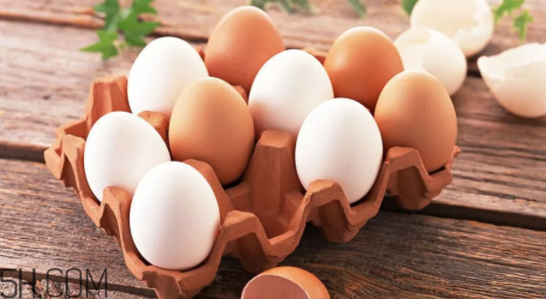 雞蛋要不要放冷藏？雞蛋的科學放置方法