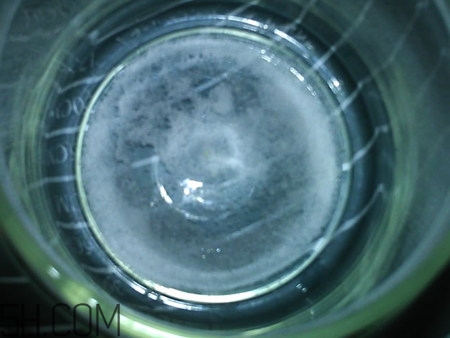 鹽漬金桔多久可以吃？鹽漬金桔放久了能吃嗎？