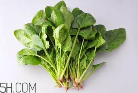 羊肉和菠菜能一起吃嗎？吃羊肉能吃菠菜嗎？