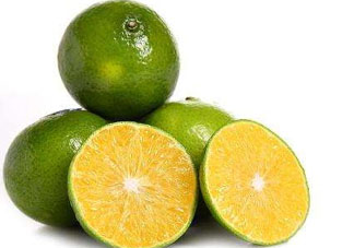 貢柑上火嗎？敗毒化痰不上火