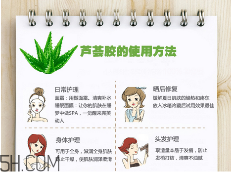 蘆薈膠的功效和作用有哪些？教你蘆薈膠的正確使用方法