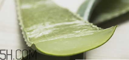 蘆薈膠祛痘效果好嗎？蘆薈膠真的會(huì)祛痘