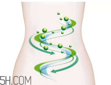 身體哪些地方的清洗容易被忽略？洗澡排便要重視