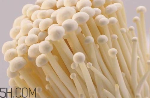 金針菇的食用禁忌有哪些？金針菇四大禁忌