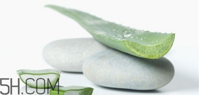 懷孕可以用蘆薈膠嗎？天天使用蘆薈膠的方法