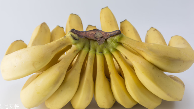 猴子為什么愛(ài)吃香蕉？熱量高營(yíng)養(yǎng)多令人高興