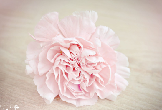 月經(jīng)量少能懷上寶寶嗎？能否排卵是關(guān)鍵