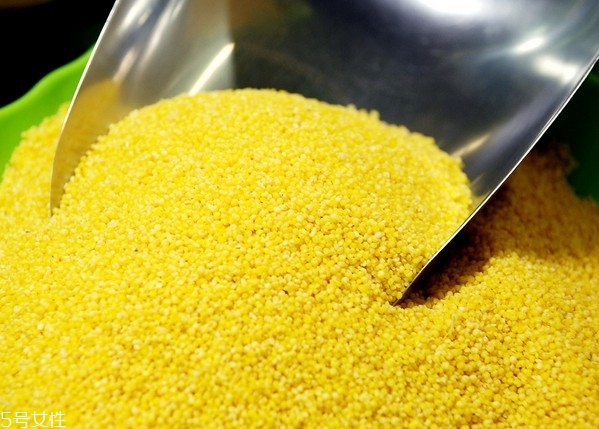 影響寶寶智力水平的因素有哪些？最常見的5大因素