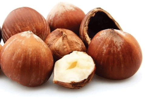 榛子可以放冰箱嗎 幾類不宜放冰箱的食物 榛子可以放冰箱嗎 幾類不宜放冰箱的食物