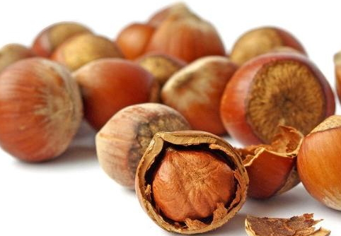 榛子什么味道 讓你回味無窮 榛子什么味道 讓你回味無窮