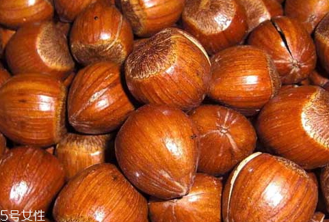 榛子什么味道 讓你回味無窮 榛子什么味道 讓你回味無窮