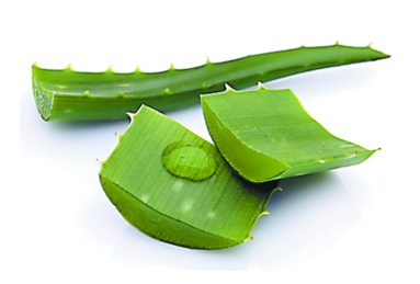 蘆薈面膜多久做一次最好？蘆薈敷臉不能過夜