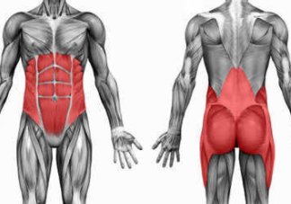 平板支撐有什么用？最有效的訓(xùn)練肌肉方法