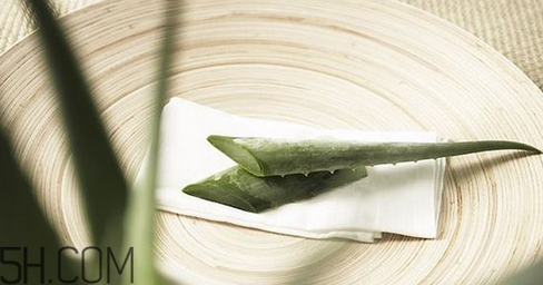 蘆薈膠吃了會(huì)怎樣？蘆薈膠的吃法