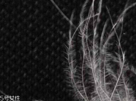 美麗絨是什么面料？適合用作毛毯家居