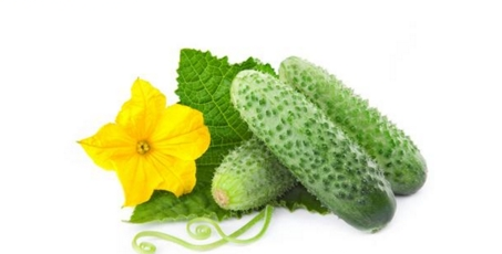 吃黃瓜減肥多久有效果？10分鐘快速減肥法