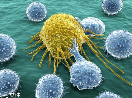 癌細胞是怎么生成的？原癌基因打敗了抑癌基因