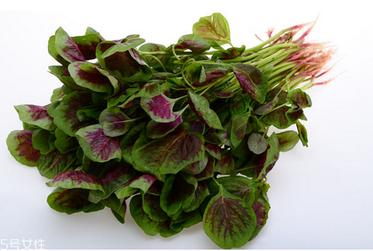 吃莧菜可以減肥嗎？減肥食物熱量排行榜