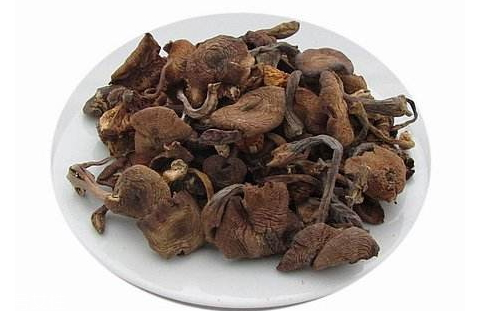 干榛蘑要泡多久 泡發(fā)榛蘑小技巧 干榛蘑要泡多久 泡發(fā)榛蘑小技巧