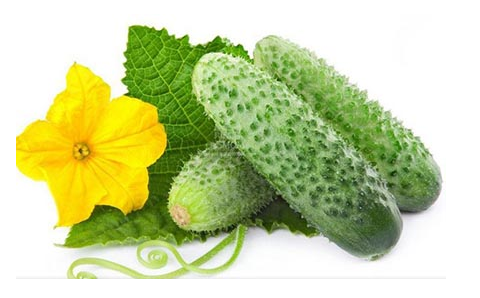 絲瓜和黃瓜的區(qū)別是什么？吃絲瓜的注意事項