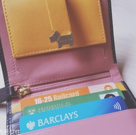 radley是什么檔次？千萬(wàn)別小看這只狗