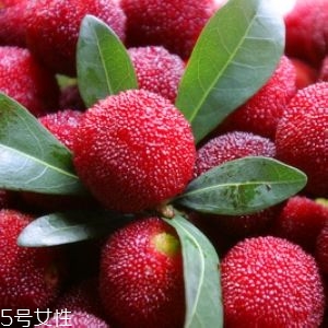 新鮮楊梅如何做酸梅湯？楊梅湯兩做法