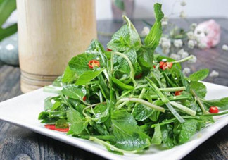 哪些中草藥可以當(dāng)菜吃？最常見的是這三種