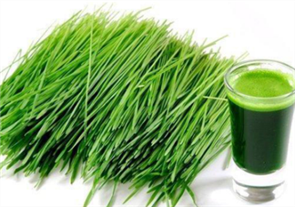 青汁一天喝幾袋最減肥？日本瘋傳的減肥飲食大法