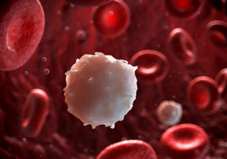 血里的垃圾有哪些？油脂過多成為垃圾油