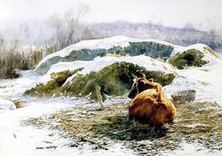 三九天怎么養(yǎng)生進補？三九天養(yǎng)生四原則