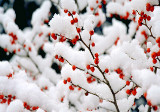 2018三九天是什么意思？三九天小常識