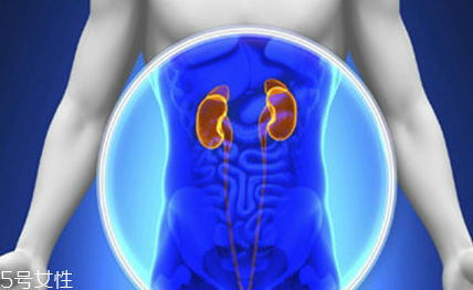 腎病為什么會(huì)發(fā)展到尿毒癥？這些因素一定要注意