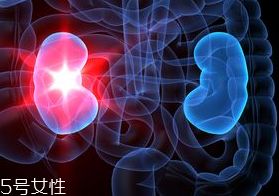 腎病為什么會(huì)發(fā)展到尿毒癥？這些因素一定要注意