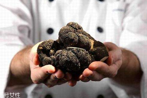 黑松露可以種植嗎 種植難度較大 黑松露可以種植嗎 種植難度較大