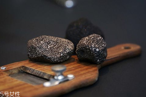 黑松露可以種植嗎 種植難度較大 黑松露可以種植嗎 種植難度較大