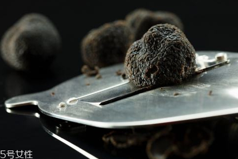 黑松露什么季節(jié)有 冬季才是黑松露的采摘旺季 黑松露什么季節(jié)有 冬季才是黑松露的采摘旺季